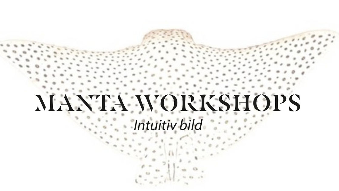 MANTA WORKSHOPS